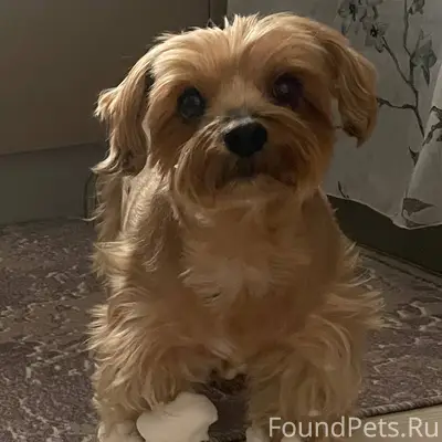 Внимание! Сергиево Посадский р...