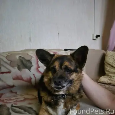 На Заводском у дома 52 появилс...