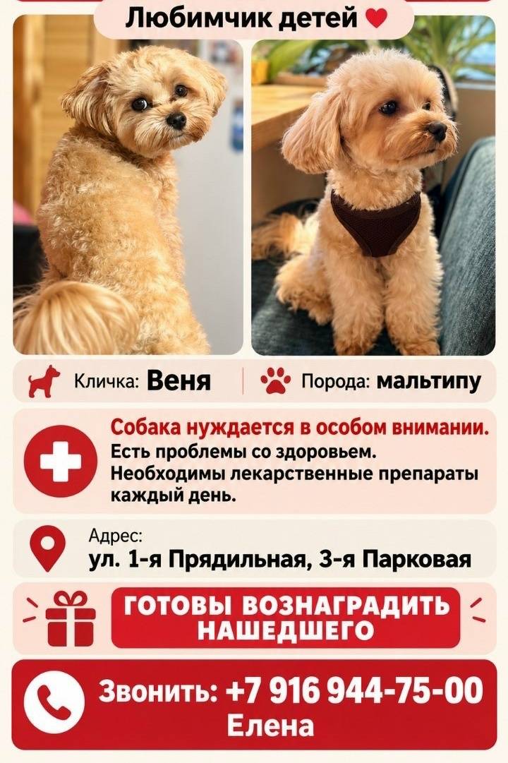 Пропал Веня, Измайлово