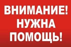 Пропала кошка, район Козленская-Левичева