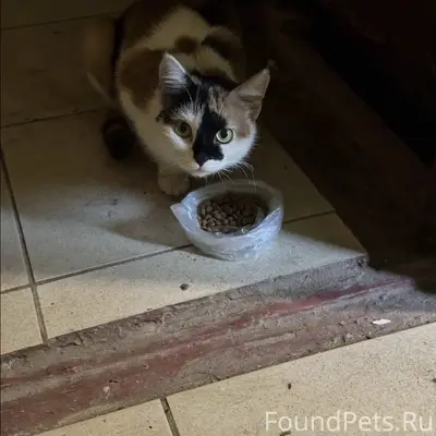 Найдена