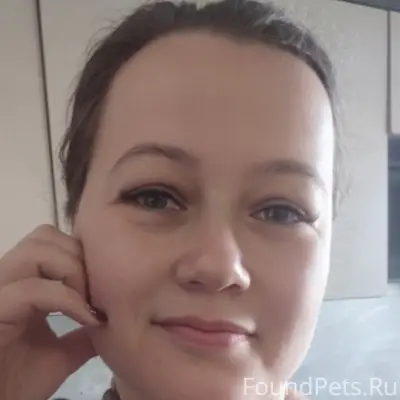 Найдена кошка
