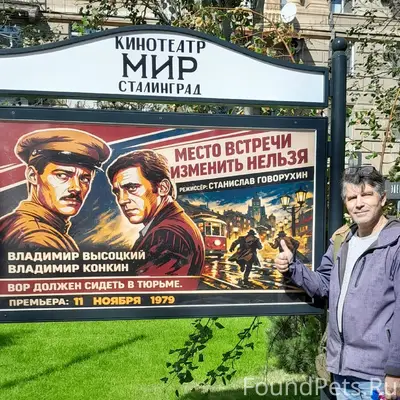 Найдена чёрная кошка