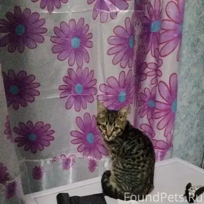 Помогите нам он друг семьи