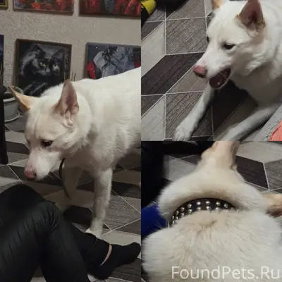 Друзья! Пожалуйста максимальны...