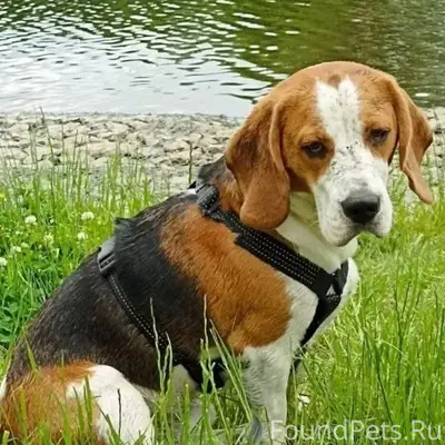 Друзья, нужна ваша помощь👇 ПРО...