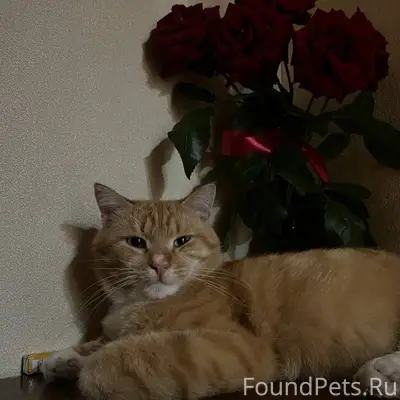 #ОтПодписчика В районе улицы У...