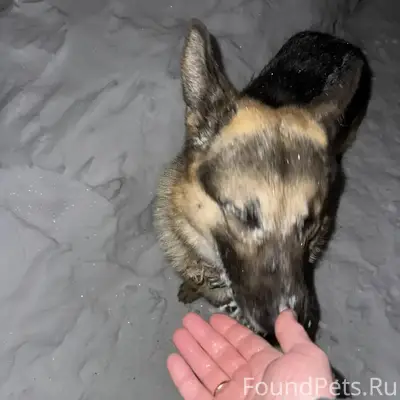 Мушковатово! Ул. Солнечная, По...