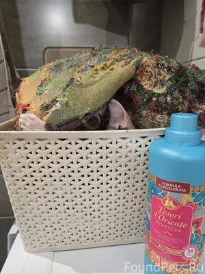 Найди кошку)))