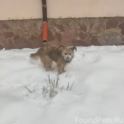 Здравствуйте, во дворах и возл...
