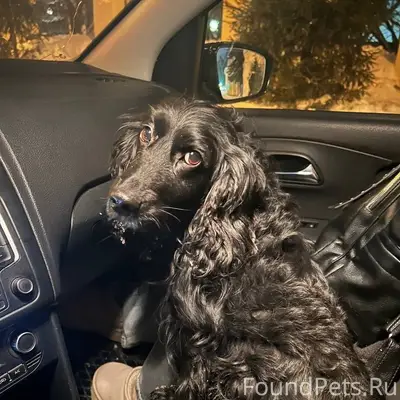 📩📤📥📨✉️ 31 января на улицах гор...