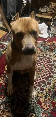 🆘🆘🆘🆘🆘🆘🆘🆘🆘🆘‼️‼️‼️Внимание‼️‼️‼️...