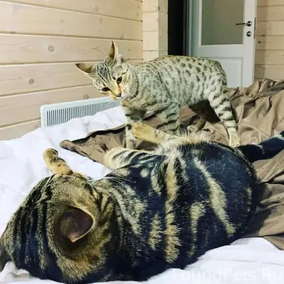 Любили друг друга до безумия 😅...