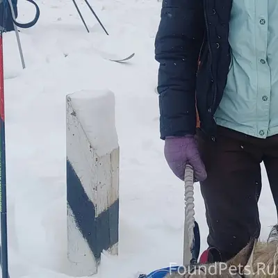 Улыбышево. Сегодня недалеко от...