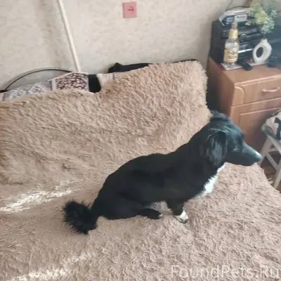 Помогаем информационно📣 Потеря...