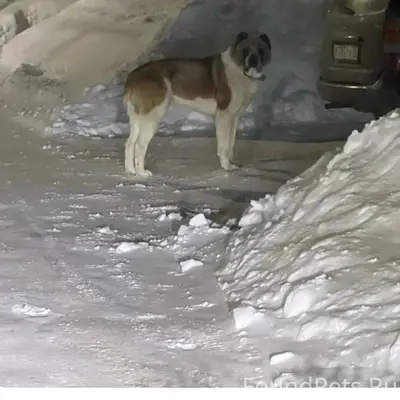 Вчера в районе Комсомольской П...