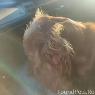 Помогаем информационно "Найден...