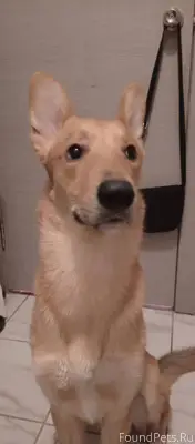 Помогаю информационно. Сделайт...