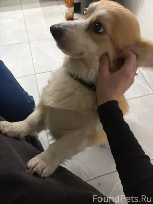 "Бюро пропаж" Утерян телефон S...