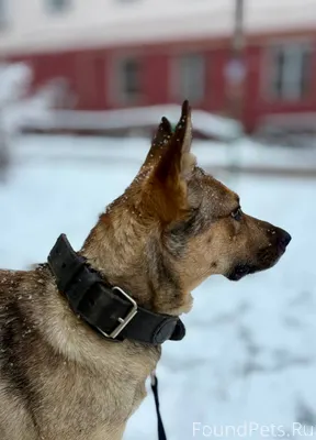 Из воспоминаний 2023 Зима. Веч...