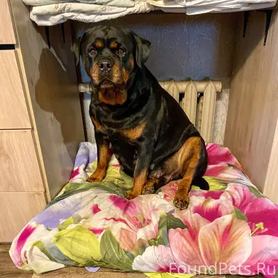 Вот и всё… 😢 23.03...