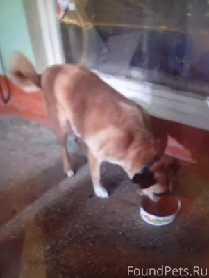 Здравствуйте, на баме в подъез...