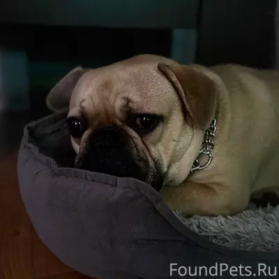 В районе 50 лет ссср 31...