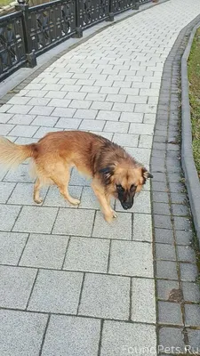 Anna: Наш мальчик так и не...