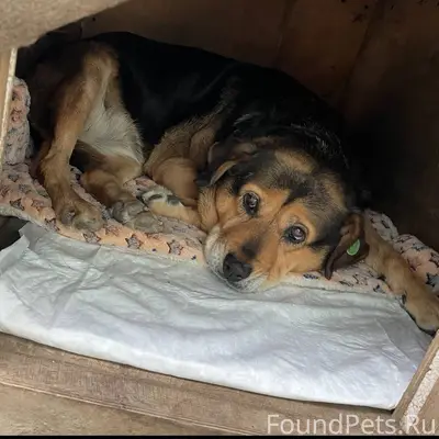 Пожалуйста, помогите найти соб...