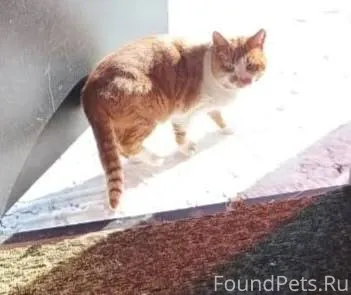 Жив, найден. Просто женился и ...