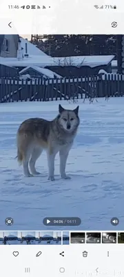 ❗️❗️Обращаюсь к волонтёрам и в...