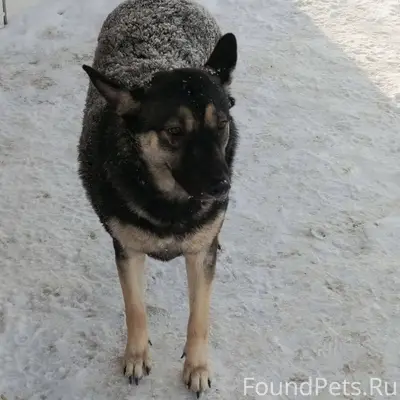 Друзья, помогите распространит...