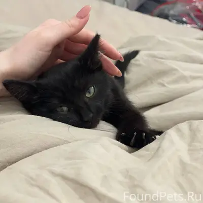 Всем доброго времени суток! Не...