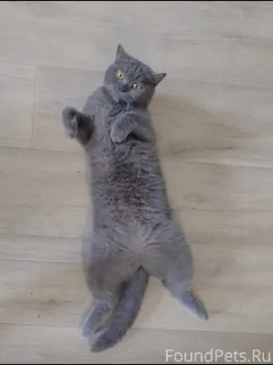 ВНИМАНИЕ люди у нас потерялась...