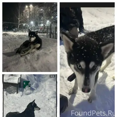 Добрые люди, помогите в распро...