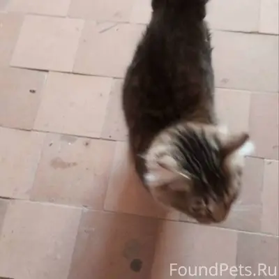 Андрианова 5 в 1 подъезде на.....