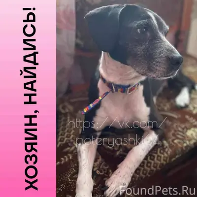 Саратов, Солнечный. Найдена со...