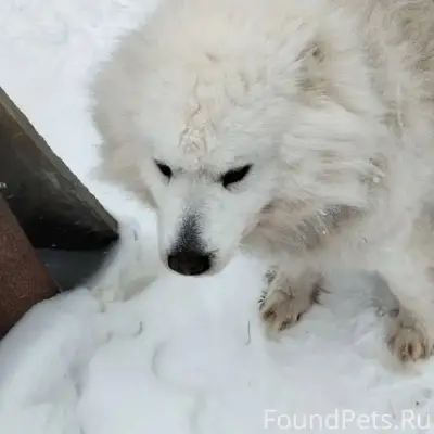 Пропал друг‼️05.02 возле ГПЗ у...