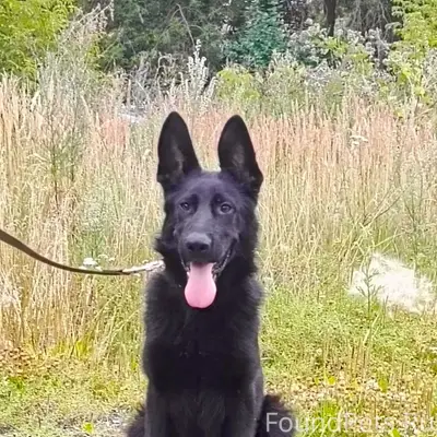 Здравствуйте уважаемые, произо...