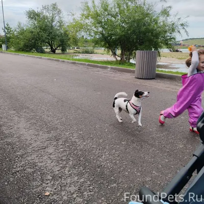 Здравствуйте, помогите найти. ...