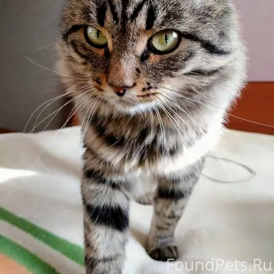 В воскресенье 08.02. ночью про...