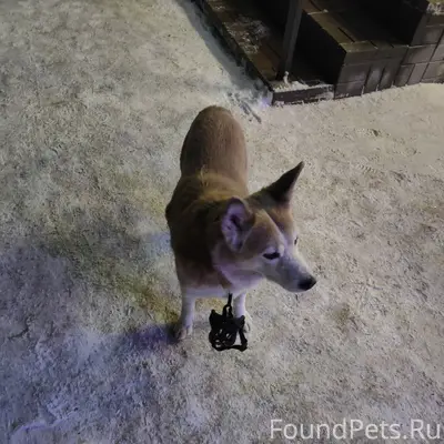 ЗАМЕЧЕН https://vk.ru/nichalen...