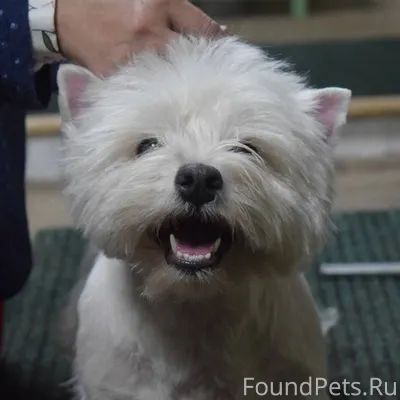 Доброго времени. Красноярск, в...