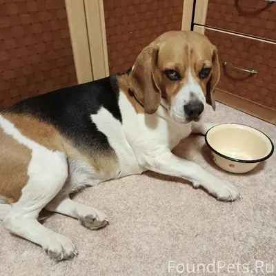 Друзья, может быть кто-то виде...