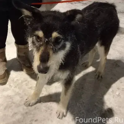 Ногинск ул Текстилей. #найдены...