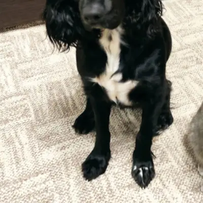 В г. Заволжье в районе Луначар...