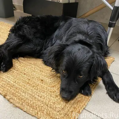 Вчера как мы возвращались домо...