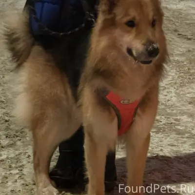 Вчера вечером в 19 часов вечер...