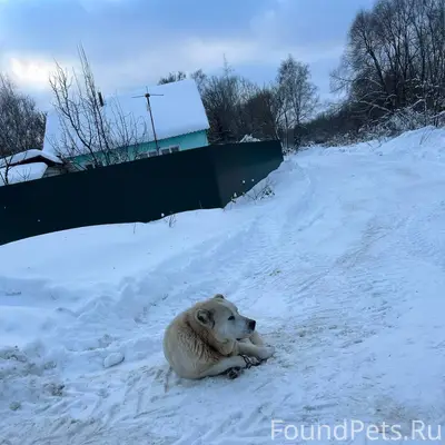 У переезда в донском второй де...