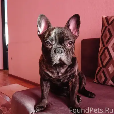 Здравствуйте,в районе вокзала ...